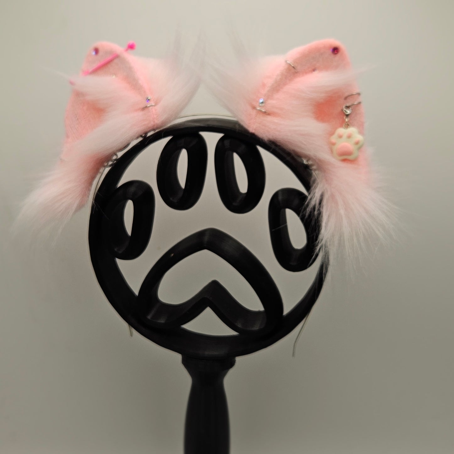 ๐พ๐๐ธ Sugar Sweet Pomeranian Ears ๐ธ๐๐พ