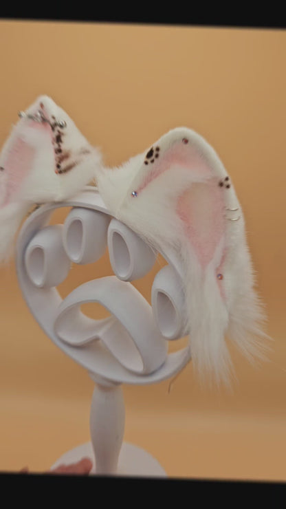Snow pearl The Crown Heir - Kitten Ears
