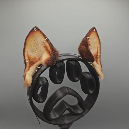 🌰✨️ Squirrel Ears ✨️🌰