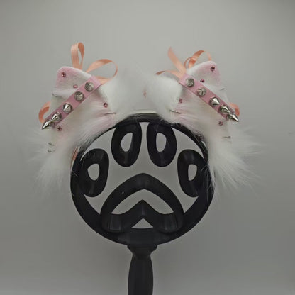 🤍💗🐾 sugar spike pomeranian ears 🐾💗🤍