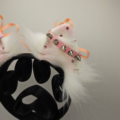 🤍💗🐾 sugar spike pomeranian ears 🐾💗🤍