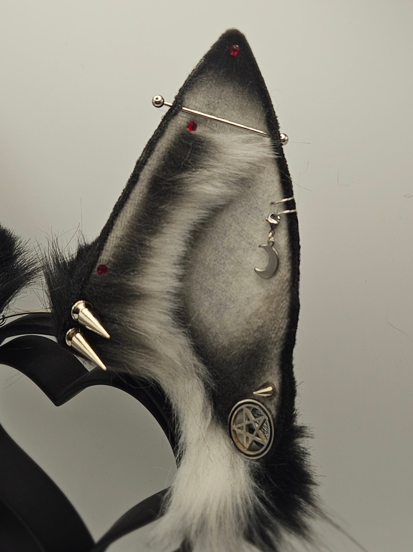 Made to Order Loonie Cosplay Ears