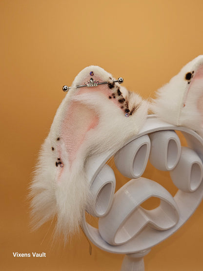 Snow pearl The Crown Heir - Kitten Ears