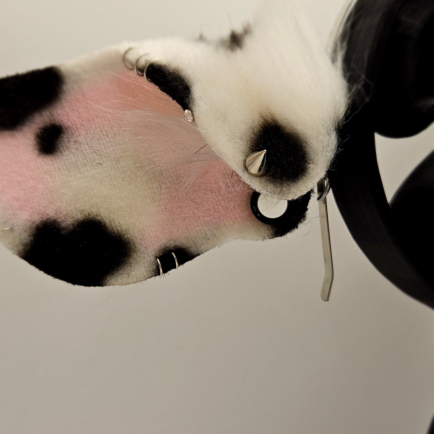 🐄⛓️ Punk Cow Ears ⛓️🐄