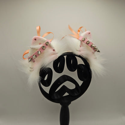 🤍💗🐾 sugar spike pomeranian ears 🐾💗🤍