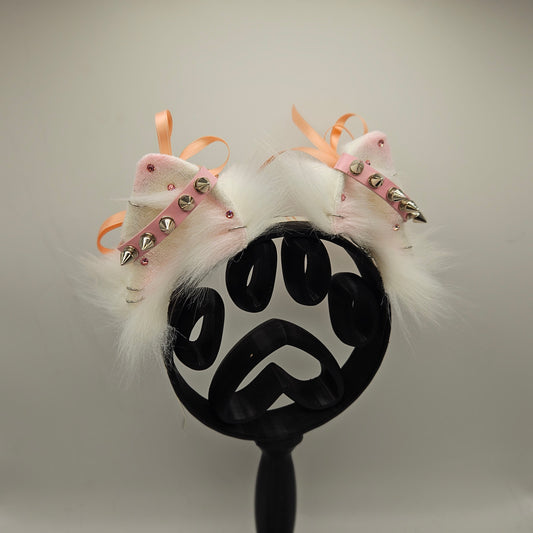 🤍💗🐾 sugar spike pomeranian ears 🐾💗🤍