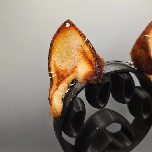 🌰✨️ Squirrel Ears ✨️🌰