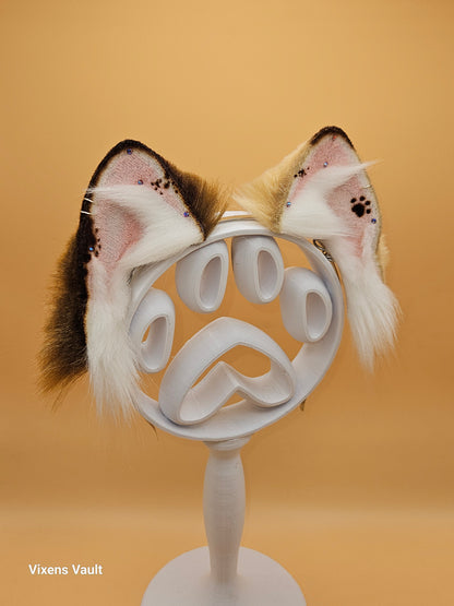 Patchpaw The Wildborne - Kitten Ears