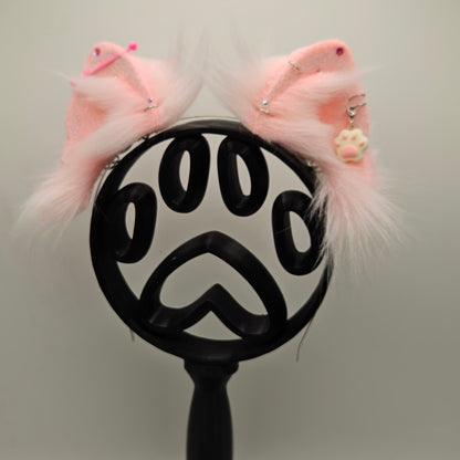 🐾💖🌸 Sugar Sweet Pomeranian Ears 🌸💖🐾