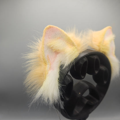 ✨️Nude Blonde Pomeranian Ears✨️