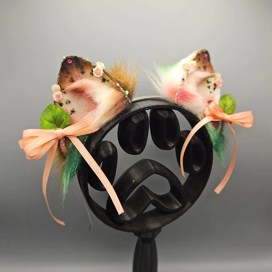🌸🌹ROSWEN VALE COURT POMERANIAN EARS🌹🌸